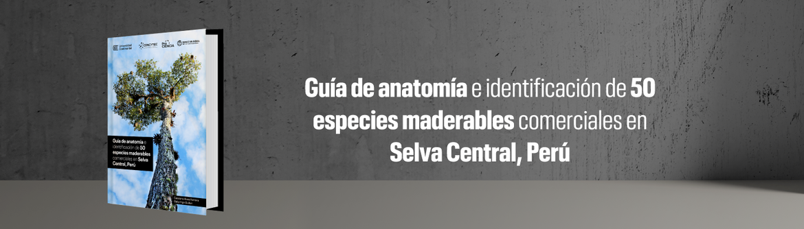 Guía de anatomía e identificación de 50 especies maderables comerciales en Selva Central, Perú